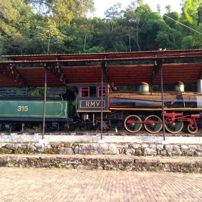 Locomotiva 315 12 2022