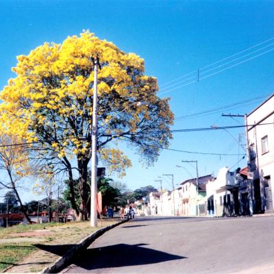 Rua 7 2007